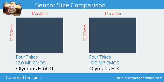 Olympus E-600 vs Olympus E-3 Sensor Size Comparison