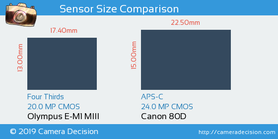 Olympus E-M1 III vs Canon 80D Sensor Size Comparison