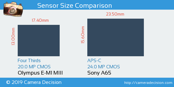 Olympus E-M1 III vs Sony A65 Sensor Size Comparison