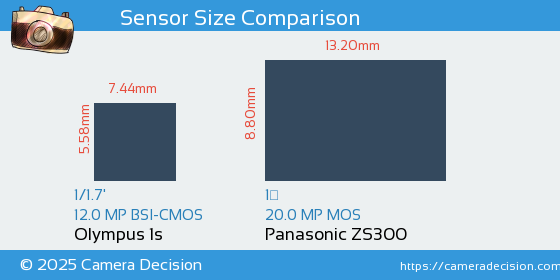 Olympus 1s vs Panasonic ZS300 Sensor Size Comparison