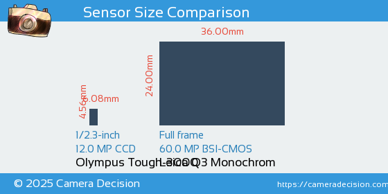 Olympus Tough-3000 vs Leica Q3 Monochrom Sensor Size Comparison