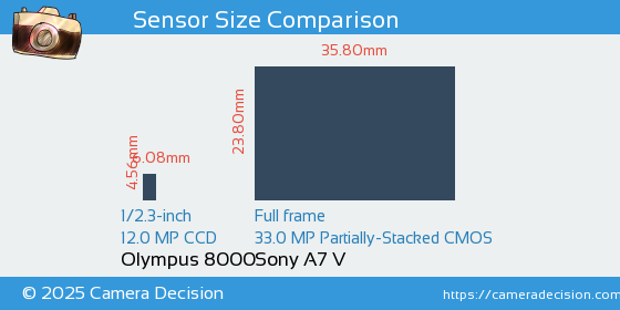 Olympus 8000 vs Sony A7 V Sensor Size Comparison