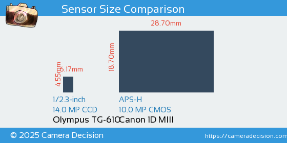 Olympus TG-610 vs Canon 1D MIII Sensor Size Comparison