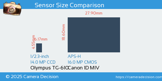 Olympus TG-610 vs Canon 1D MIV Sensor Size Comparison