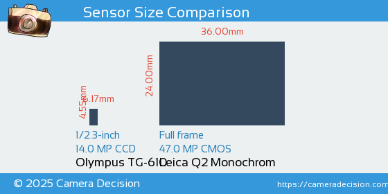 Olympus TG-610 vs Leica Q2 Monochrom Sensor Size Comparison