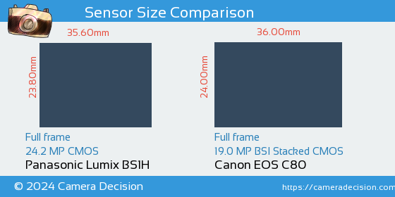 Panasonic BS1H vs Canon EOS C80 Sensor Size Comparison