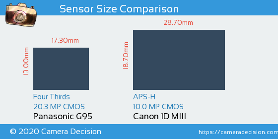Panasonic G95 vs Canon 1D MIII Sensor Size Comparison