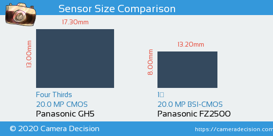 Panasonic GH5 vs Panasonic FZ2500 Sensor Size Comparison