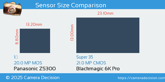 Panasonic ZS300 vs Blackmagic 6K Pro Sensor Size Comparison
