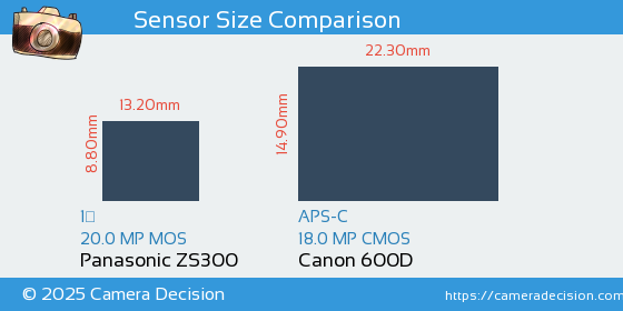Panasonic ZS300 vs Canon 600D Sensor Size Comparison