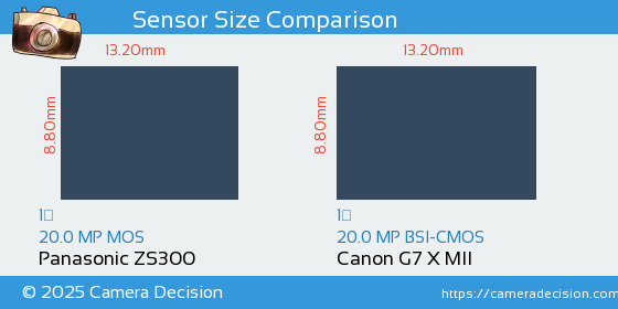 Panasonic ZS300 vs Canon G7 X MII Sensor Size Comparison