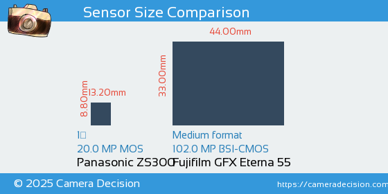 Panasonic ZS300 vs Fujifilm GFX Eterna 55 Sensor Size Comparison