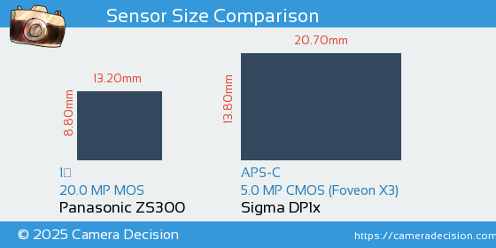 Panasonic ZS300 vs Sigma DP1x Sensor Size Comparison