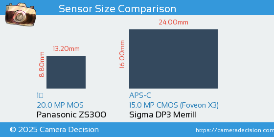 Panasonic ZS300 vs Sigma DP3 Merrill Sensor Size Comparison