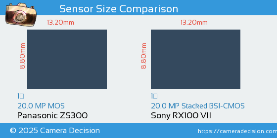 Panasonic ZS300 vs Sony RX100 VII Sensor Size Comparison