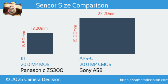 Panasonic ZS300 vs Sony A58 Sensor Size Comparison