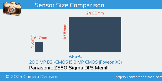 Panasonic ZS80 vs Sigma DP3 Merrill Sensor Size Comparison
