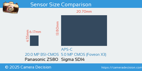 Panasonic ZS80 vs Sigma SD14 Sensor Size Comparison