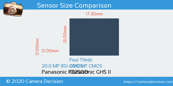 Panasonic FZ2500 vs Panasonic GH5 II Sensor Size Comparison
