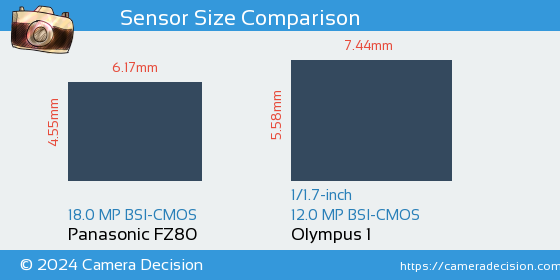 Panasonic FZ80 vs Olympus 1 Sensor Size Comparison