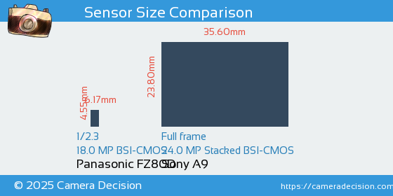 Panasonic FZ80D vs Sony A9 Sensor Size Comparison