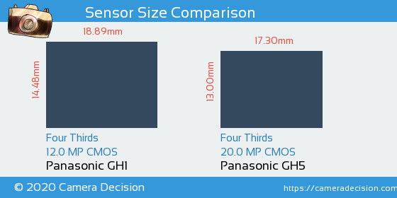Panasonic GH1 vs Panasonic GH5 Sensor Size Comparison