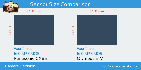 Panasonic GX85 vs Olympus E-M1 Sensor Size Comparison