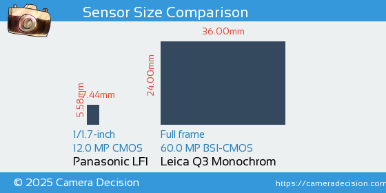 Panasonic LF1 vs Leica Q3 Monochrom Sensor Size Comparison