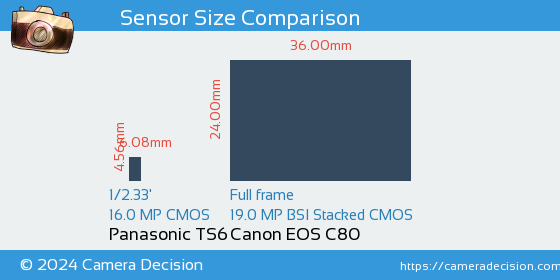 Panasonic TS6 vs Canon EOS C80 Sensor Size Comparison