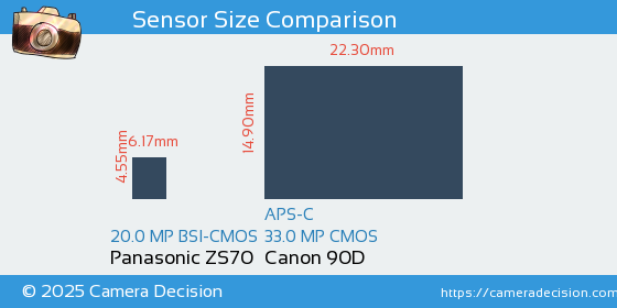 Panasonic ZS70 vs Canon 90D Sensor Size Comparison