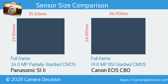 Panasonic S1 II vs Canon EOS C80 Sensor Size Comparison