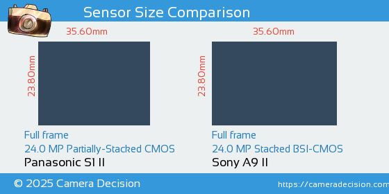Panasonic S1 II vs Sony A9 II Sensor Size Comparison