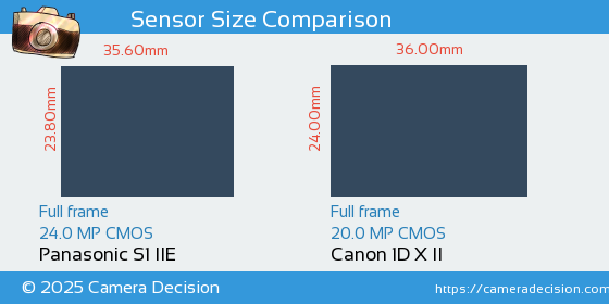 Panasonic S1 IIE vs Canon 1D X II Sensor Size Comparison