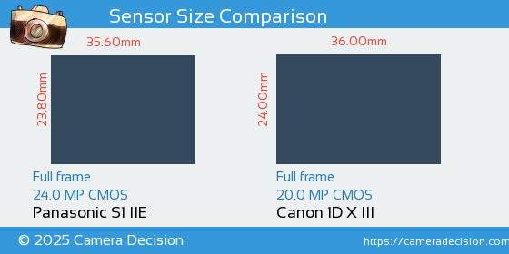 Panasonic S1 IIE vs Canon 1D X III Sensor Size Comparison