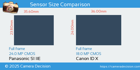 Panasonic S1 IIE vs Canon 1D X Sensor Size Comparison