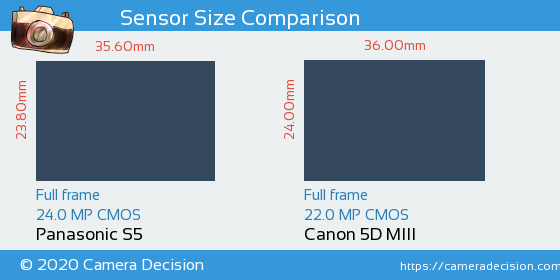 Panasonic S5 vs Canon 5D MIII Sensor Size Comparison
