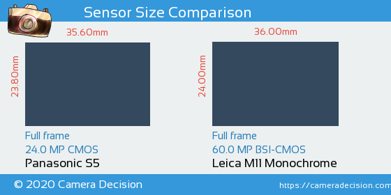 Panasonic S5 vs Leica M11 Monochrom Sensor Size Comparison