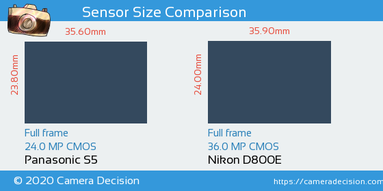 Panasonic S5 vs Nikon D800E Sensor Size Comparison