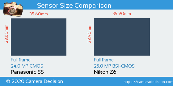 Panasonic S5 vs Nikon Z6 Sensor Size Comparison