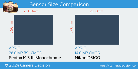 Pentax K-3 III Mono vs Nikon D3100 Sensor Size Comparison