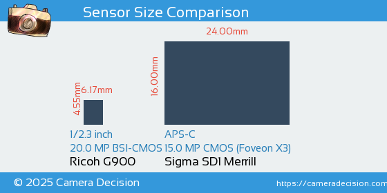Ricoh G900 vs Sigma SD1 Merrill Sensor Size Comparison