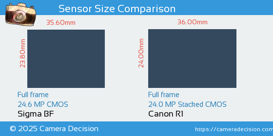 Sigma BF vs Canon R1 Sensor Size Comparison