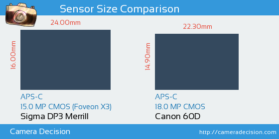 Sigma DP3 Merrill vs Canon 60D Sensor Size Comparison