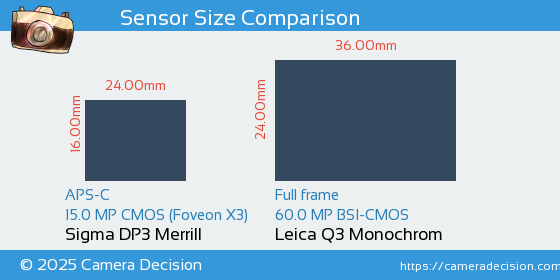 Sigma DP3 Merrill vs Leica Q3 Monochrom Sensor Size Comparison