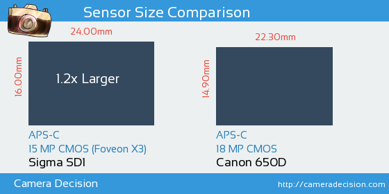 Sigma SD1 vs Canon 650D Sensor Size Comparison