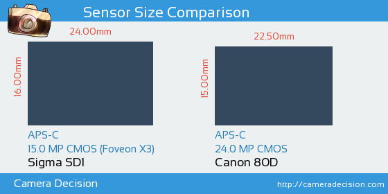 Sigma SD1 vs Canon 80D Sensor Size Comparison