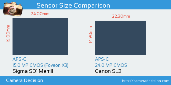 Sigma SD1 Merrill vs Canon SL2 Sensor Size Comparison