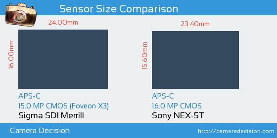 Sigma SD1 Merrill vs Sony NEX-5T Sensor Size Comparison