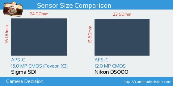 Sigma SD1 vs Nikon D5000 Sensor Size Comparison