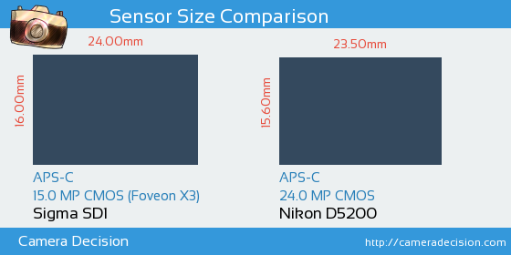 Sigma SD1 vs Nikon D5200 Sensor Size Comparison